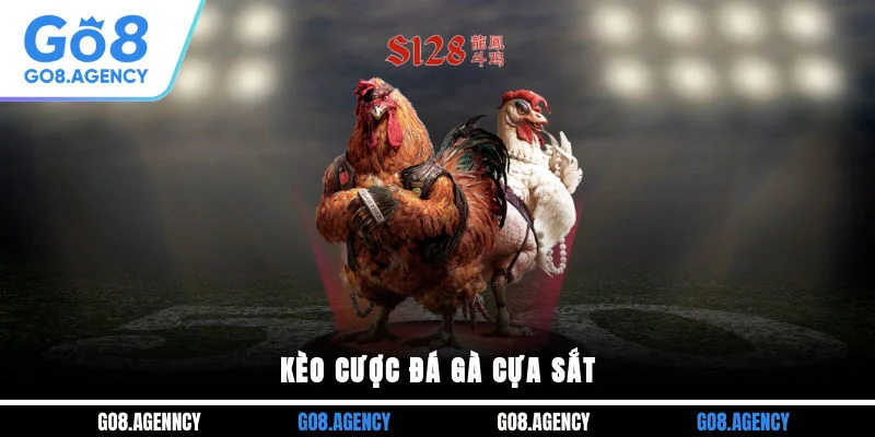 Kèo cược đá gà cựa sắt Kèo cược đá gà cựa sắt