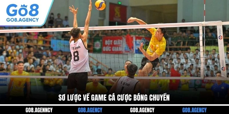 Sơ lược về game cá cược bóng chuyền 